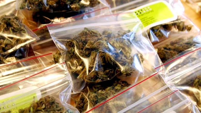 Corsier-sur-Vevey : un jeune interpellé avec plus de 5 kg de cannabis