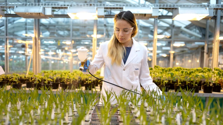 Syngenta : croissance au 1er trimestre portée par l'innovation