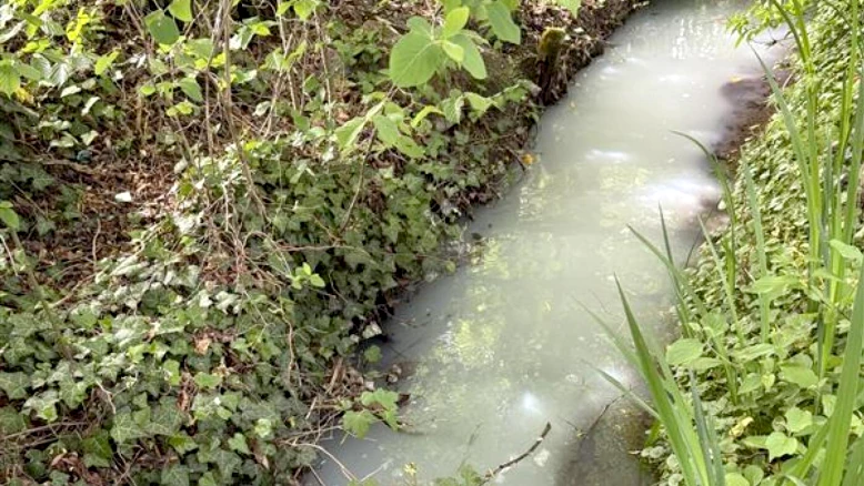 Déversement de lait dans le ruisseau Dybach à Greng, auteur identifié