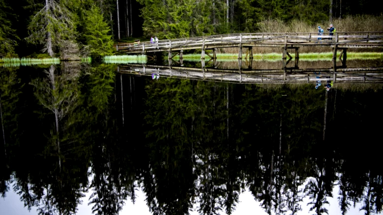 Jura : règles pour protéger faune et flore lors des loisirs