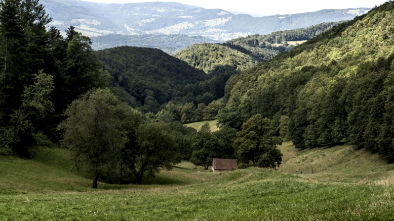 Démarche participative pour le parc éolien de la Haute Borne (Jura)