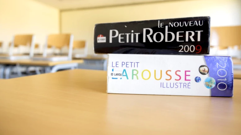 Crush, bouiner, prompter : nouveaux mots dans Le Robert et Larousse
