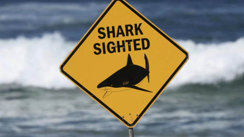 Attaque de requin à Rottnest : homme de 30 ans en état critique