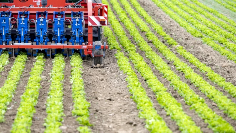 Aide fédérale à l'agriculture suisse après concessions commerciales
