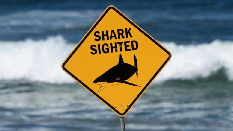 Attaque de requin dans le Queensland : un homme de 39 ans meurt