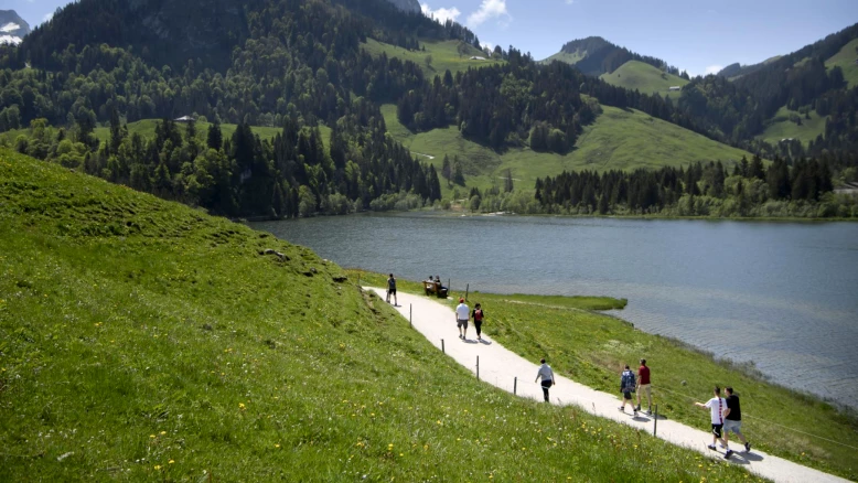Lac Noir (Fribourg) : randonneur de 20 ans tué par la chute d'un arbre