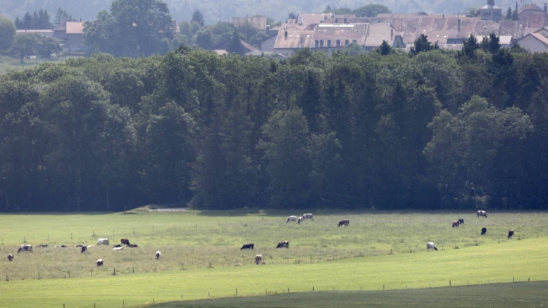 Pétition au Grand Conseil contre la mégagravière des bois de Ballens