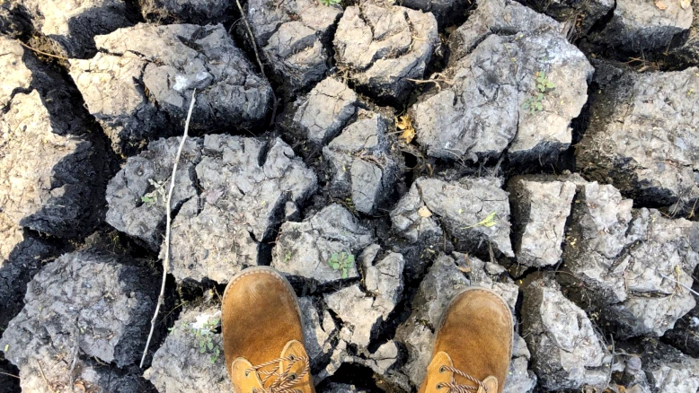 El Niño de retour dans le Pacifique : risques météo extrêmes