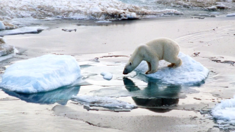 Réchauffement planétaire record et observation de la Terre menacée