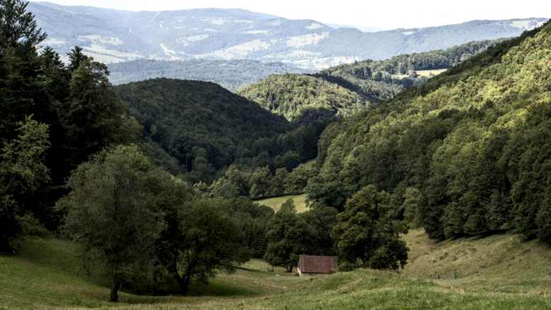 Parc éolien de la Haute Borne : avis des habitants pris en compte