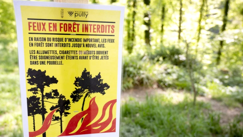Risque élevé d'incendies en Suisse : restrictions pour l'eau en Thurgovie