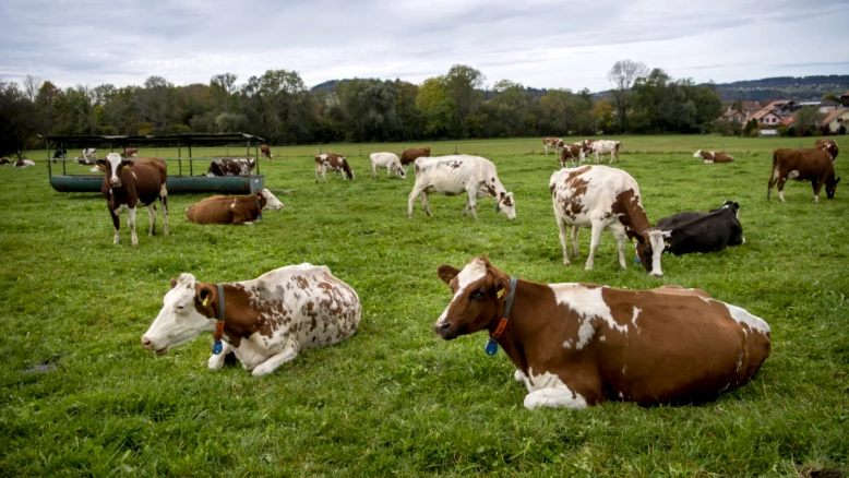 Vaud augmente le fonds d'investissement rural de 20 millions pour l'agriculture