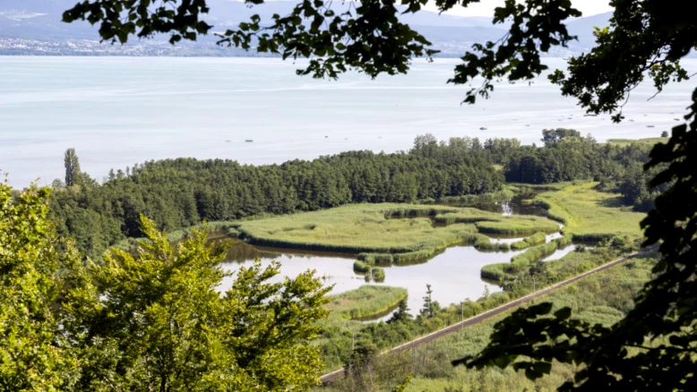 Planification Écologique de Fribourg : Infrastructure pour la Biodiversité