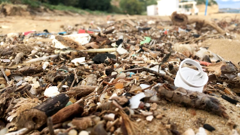 Liste complète des polluants chimiques dans les plastiques: étude mondiale