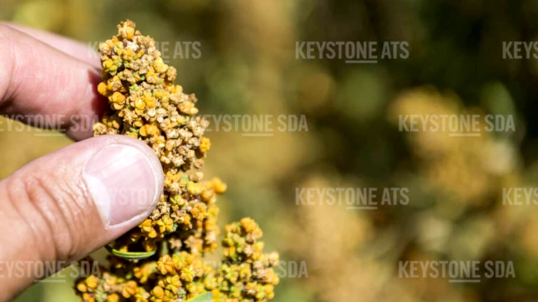 L'essor de l'alimentation végétale échoue à soutenir les agriculteurs suisses