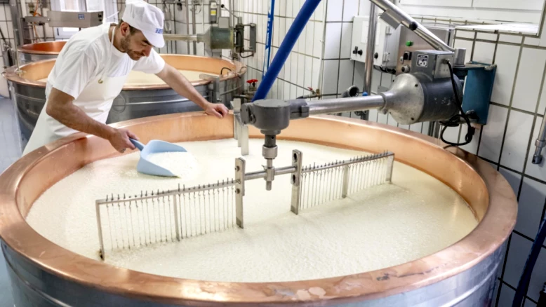 Succès des produits laitiers suisses : hausse des ventes et innovations