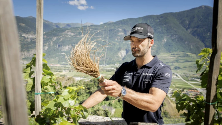 Loïc Meillard soigne la Vigne à Farinet: Tradition à Saillon
