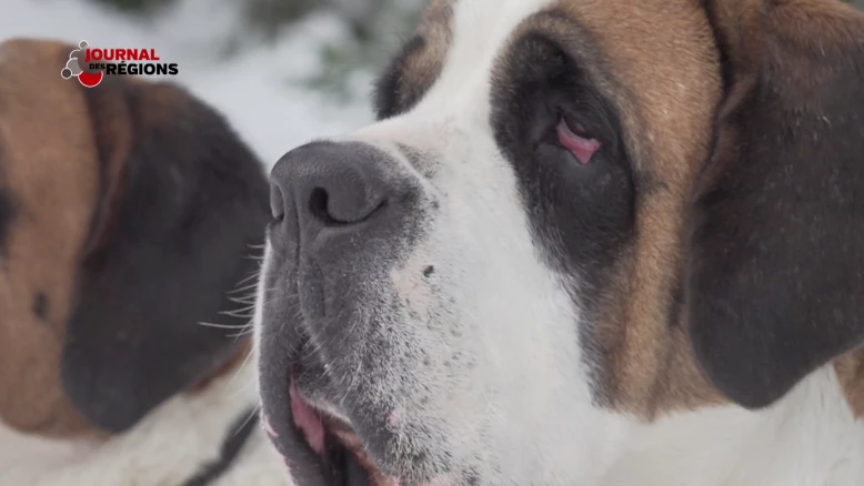 Journal du 22 janvier 2023