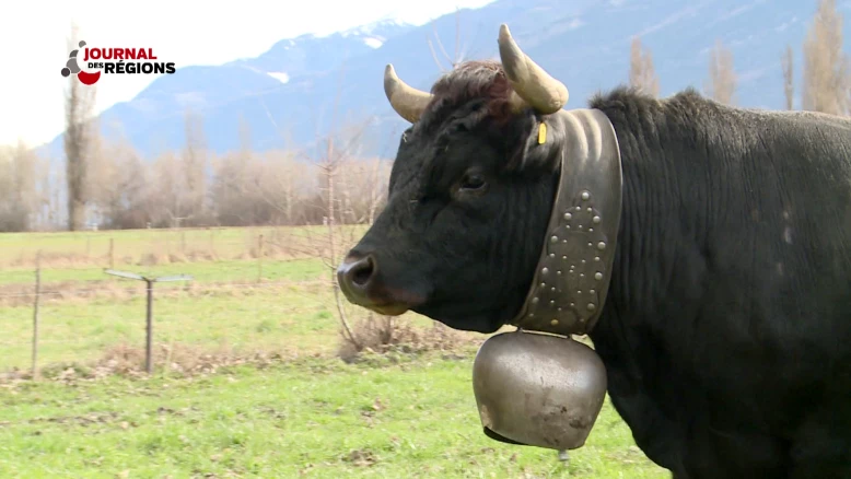 Journal du 19 mars 2023