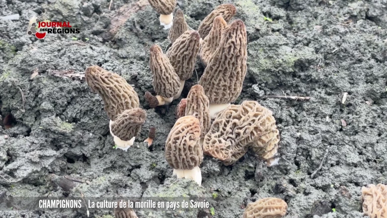 Journal du 23 avril 2023