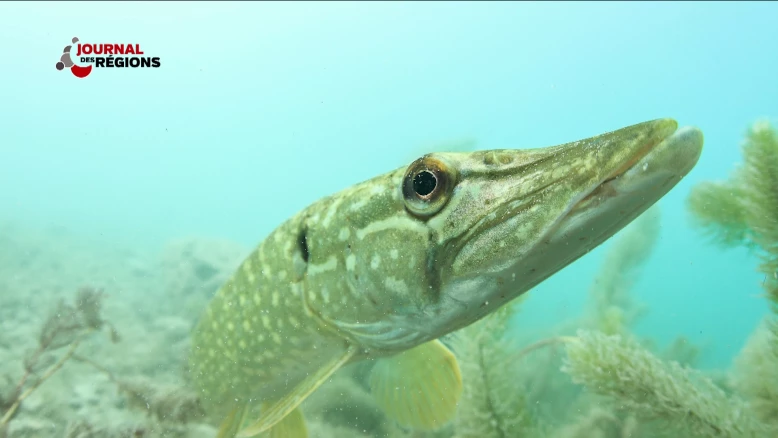 Journal du 30 avril 2023