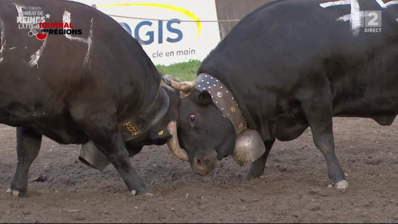 Journal du 21 mai 2023