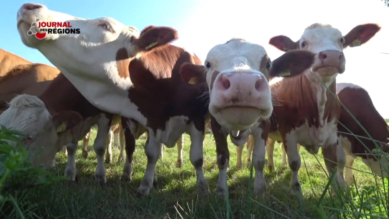 Journal du 24 septembre 2023