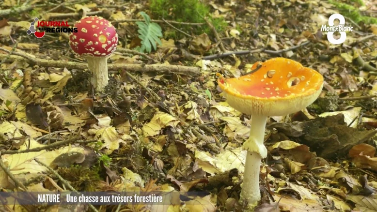 Journal du 7 octobre 2023