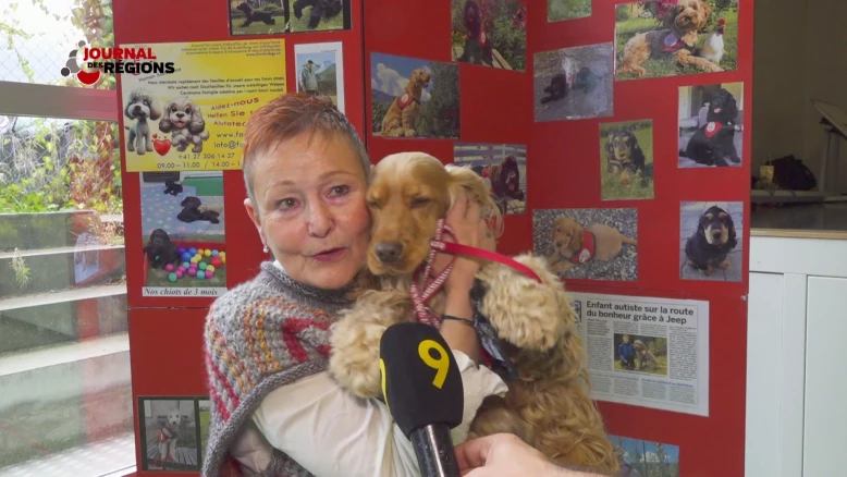 Journal du 11 novembre 2023