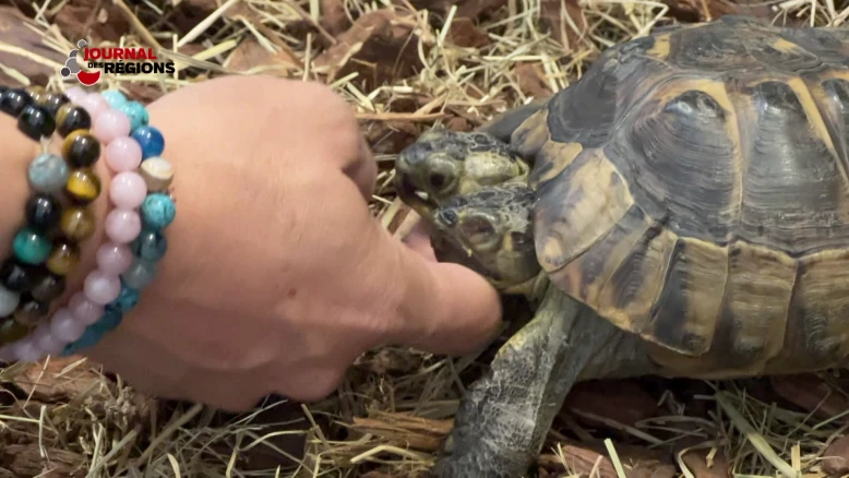 Journal du 25 novembre 2023