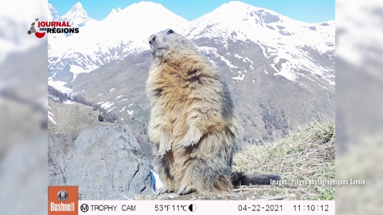 Journal du 9 décembre 2023