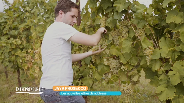 JAYA Prosecco : les nouvelles lettres de noblesse