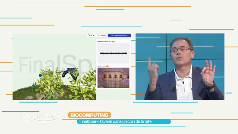 FinalSpark : l'avenir dans un coin de la tête