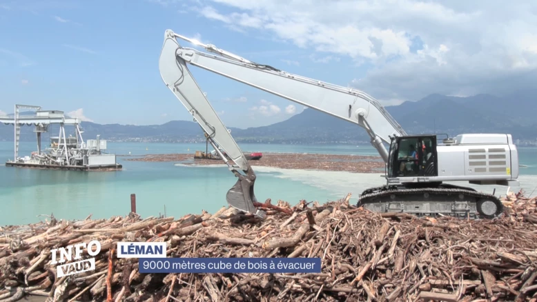 Des millions de tonnes de bois à évacuer