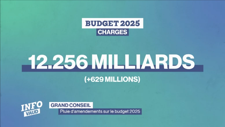 Les enjeux du budget 2025
