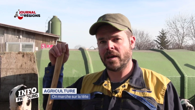 Journal du 2 février 2024