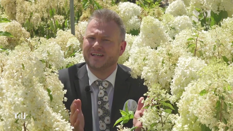 Plantes en terre acide