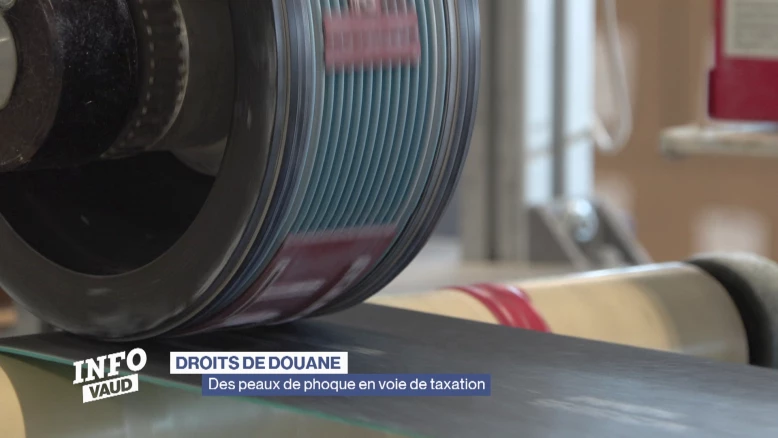 Douanes américaines: des peaux de phoque en voie de taxation