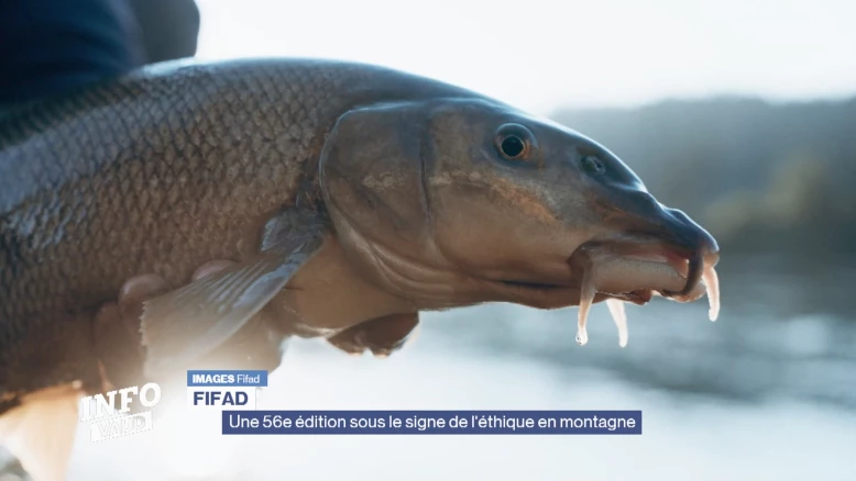 Fifad: Une édition sous le signe de l'éthique en montagne