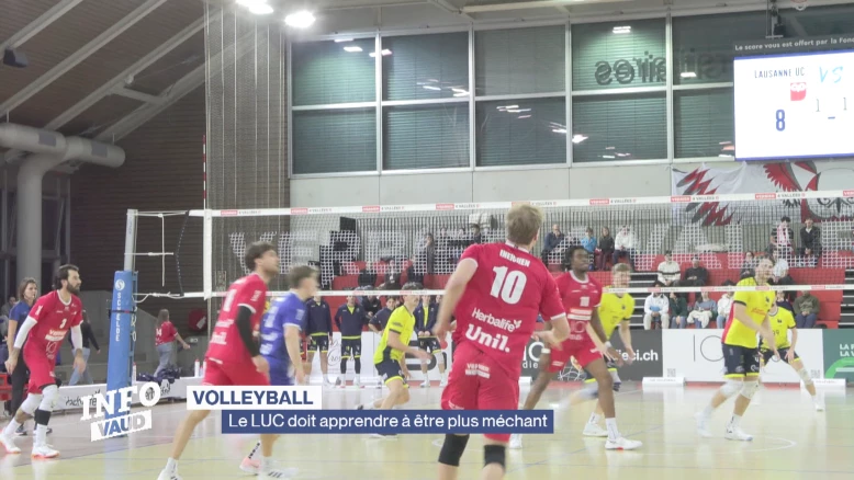 Le LUC Volleyball doit apprendre à être méchant