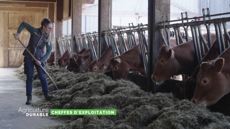 Dossier du mois - Cheffes d'exploitation