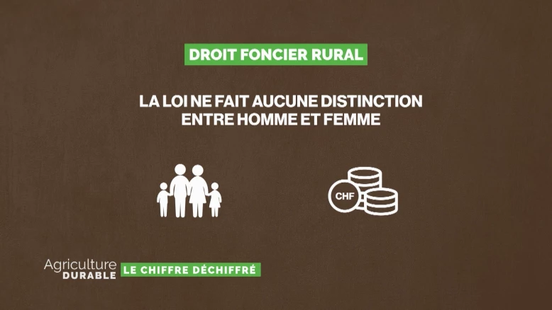 Le chiffre déchiffré - Loi sur le droit foncier rural