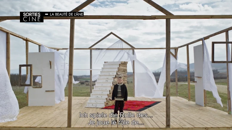 Les sorties ciné des 25 mars et 1er avril 2026