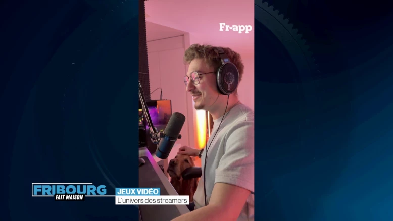 L'univers des streamers