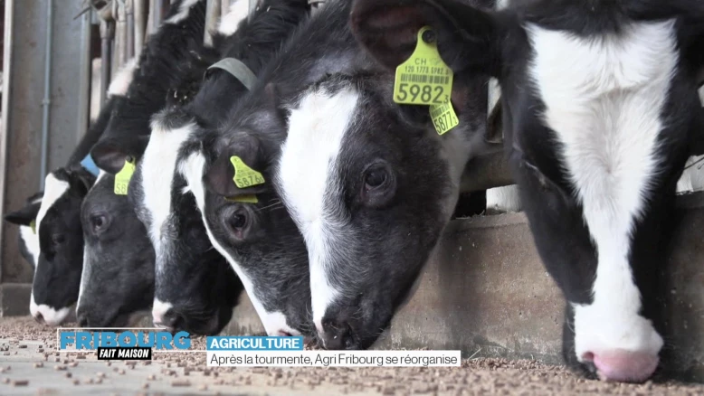Agri Fribourg veut revenir sur de bons rails