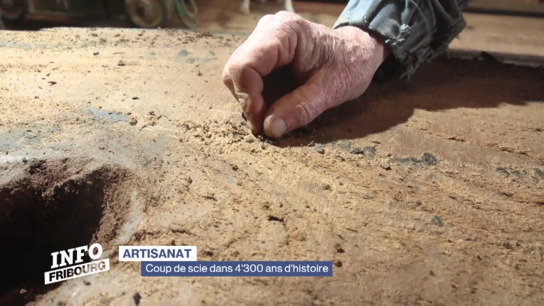 Coup de scie dans 4'300 ans d'histoire