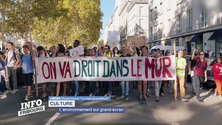 L'environnement sur grand écran