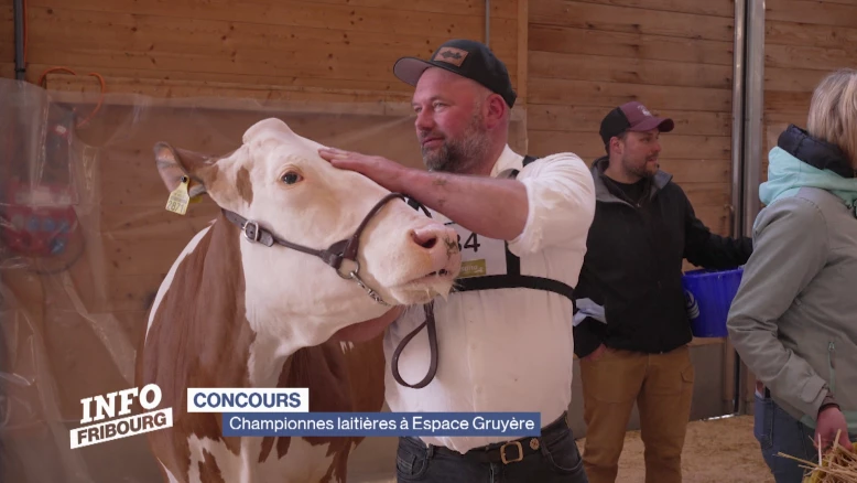Championnes laitières à Expo Bulle