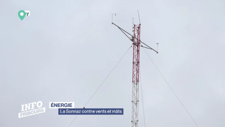 L'installation d'un mât de mesure à la Sonnaz déplaît