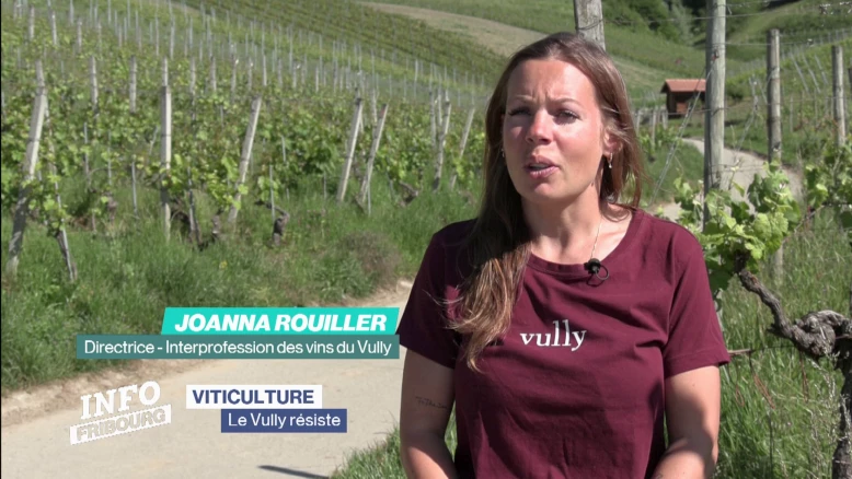 Le Vully résiste